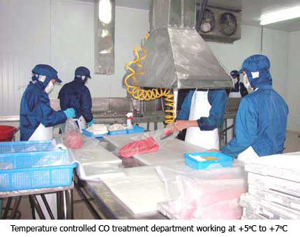 CO treatment
