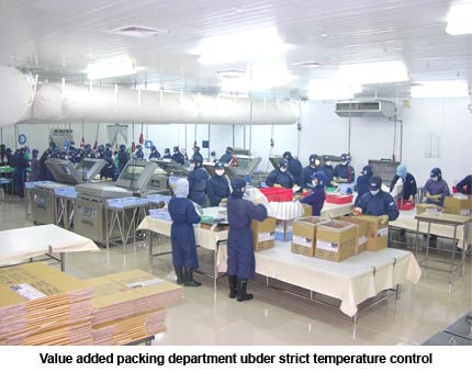 packing room
