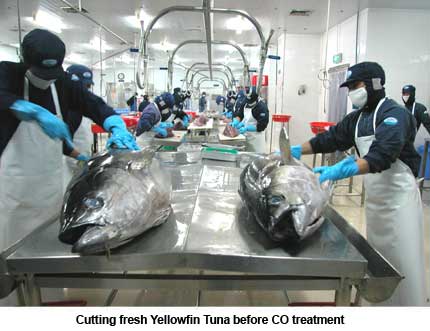 fresh yellowfin tuna